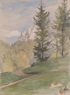 Mountain Landscape with Coniferous Trees by Jan Nowopacký