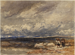 On Carrington Moss by David Cox