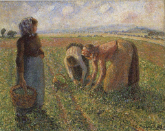 Pea Harvest, Eragny by Camille Pissarro