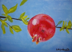 pomegranate by Spyridoula Dimovasili