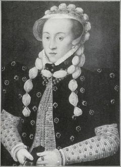 Portrait of a Lady by Frans Pourbus the Elder