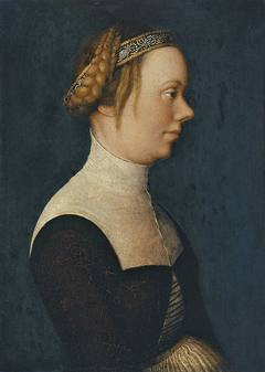 Portrait of a Woman by Hans Holbein the Elder