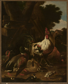 Rooster and ducks by Melchior d'Hondecoeter