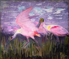 Roseate Spoonbills, study for book Concealing Coloration in the Animal Kingdom by Abbott Handerson Thayer