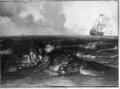 Schildkröten am Meeresufer by Willem Ormea