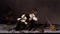 Still Life with Apple Blossoms by Balthasar van der Ast