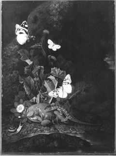 Stillleben mit Distel, Eidechse und Schnecke by Franz de Hamilton