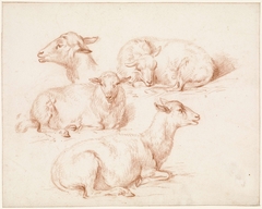 Studieblad met schapen by Pieter Jan Guise