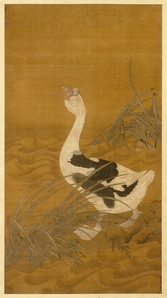 Swan Goose Among Water Reeds by Anonymous