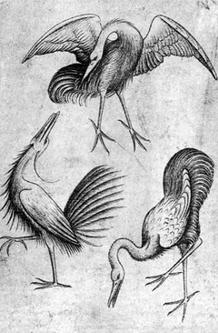 The 3 of Birds by Master of the Playing Cards