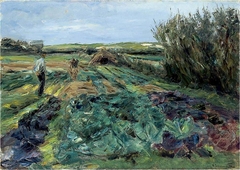 The cabbage field (cabbage field in Noordwijk) by Max Liebermann