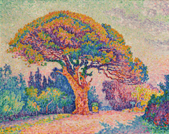 The Pine Tree at Saint Tropez by Paul Signac