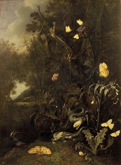 Untitled by Otto Marseus van Schrieck