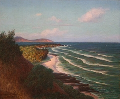 View from Diamond Head by D. Howard Hitchcock