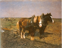 Zwei Pferde vor dem Pflug stehend by Friedrich Eckenfelder