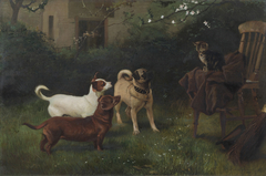 Cat and Dogs belonging to Queen Victoria by Charles Burton Barber