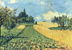 Corn Fields on the Hills in Argenteuil by Alfred Sisley