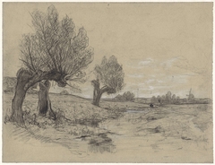 Drie knotwilgen langs een sloot by Egbert Rubertus Derk Schaap