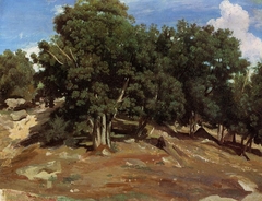 Fontainebleau – Black Oaks of Bas-Bréau by Jean-Baptiste-Camille Corot