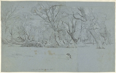 Gezicht in het bos te Windsor by John Linnell II