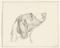 Kop van een hond, naar rechts by Jean Bernard