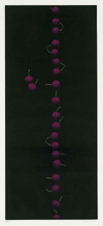 Magenta cherries by Yozo Hamaguchi