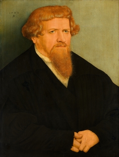 Portrait of a Man with a Red Beard by Lucas Cranach the Younger