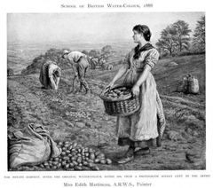 Potato Harvest 1888 by Edith Martineau