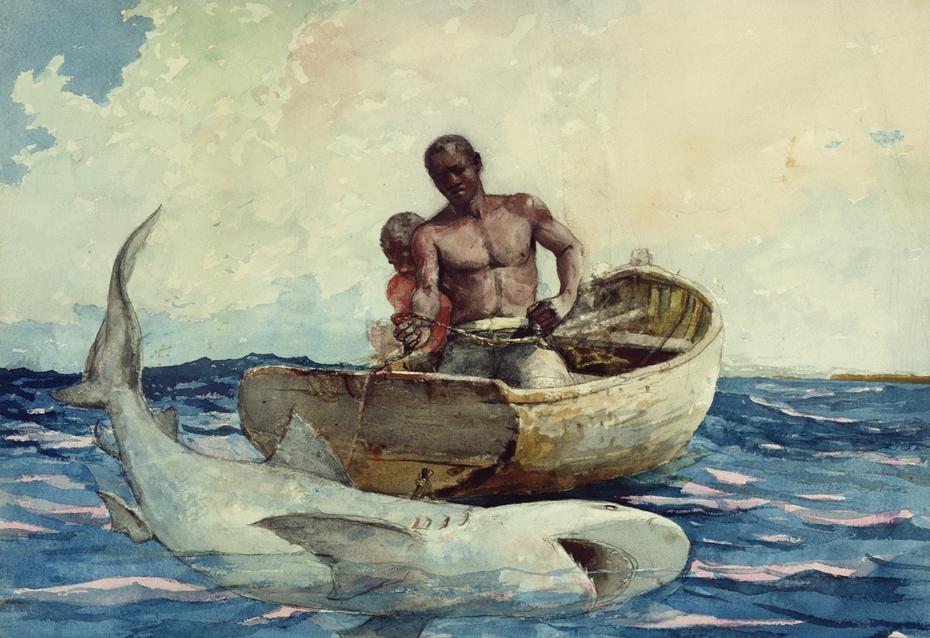 Exhibit image