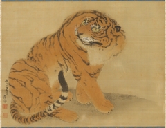 Sitting Tiger by Maruyama Ōkyo