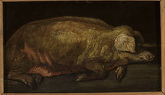 Sleeping pig. by Adriaen Verdoel