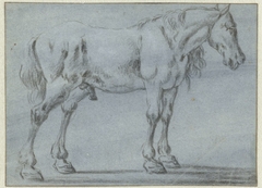 Staand paard, naar rechts by Dirk Stoop