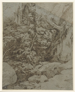 Studie van een landschap by Parmigianino