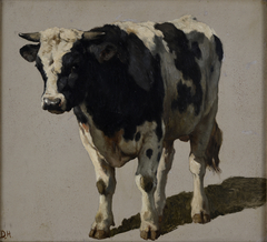 Studie van een stier by Johannes Hubertus Leonardus de Haas