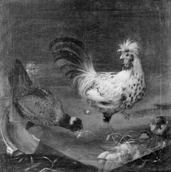 Two Hens and a Cock by Franz Roos