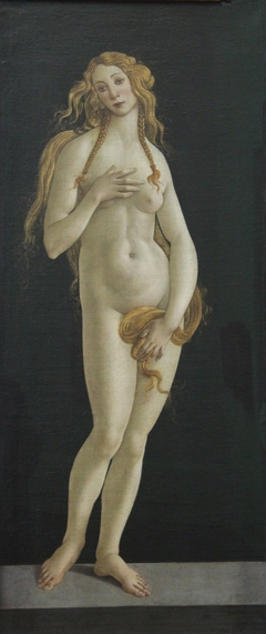 Venus by Sandro Botticelli