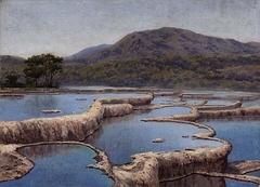 View of the White Terraces by Walter Boodle