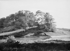 Wooded Hills at Sørupvang by Johan Lundbye