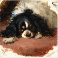 A King Charles Spaniel by Edwin Henry Landseer