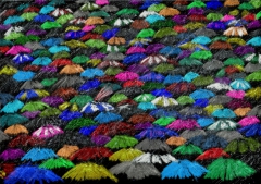 A Sea of Brollies by John Stuart