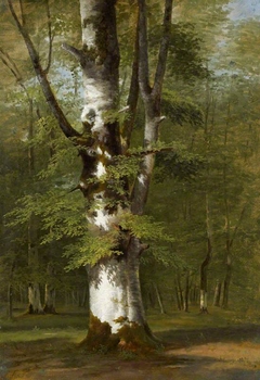 A Study of a Tree by Achille Etna Michallon