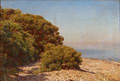 A sunny coastal scenery. by C A Kølle