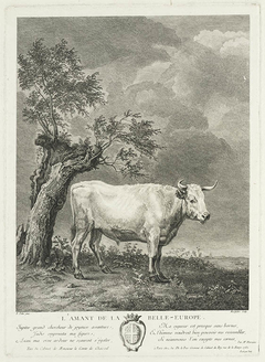 A White Bull by Paulus Potter