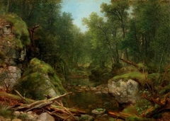 Chapel Pond Brook, Adirondack Mts., N.Y. by Asher Brown Durand