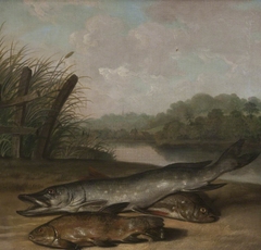 Common Carp, Freshwater Crayfish and Eel, in an Imaginary French Setting by Arthur Devis