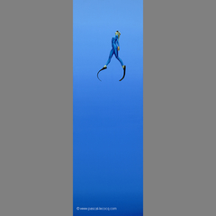 COMPASS - by Pascal by Pascal Lecocq