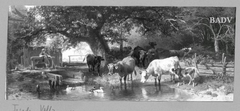 cows at a brook by Friedrich Voltz