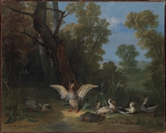 Ducks Resting in Sunshine by Jean-Baptiste Oudry