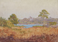 Field Study, Florida by J Ottis Adams