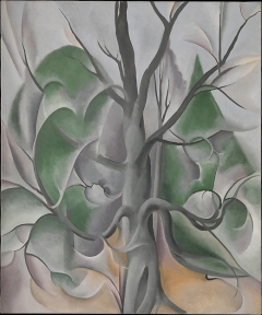 Grey Tree, Lake George by Georgia O'Keeffe